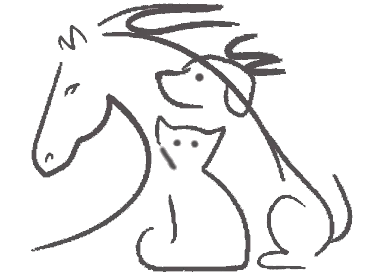 Katrin Kunz Tierkommunikation Katrin Kunz Tierkommunikation